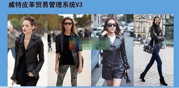 威特皮革贸易系统 官方版