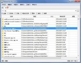 FileSearchy pro 绿色版